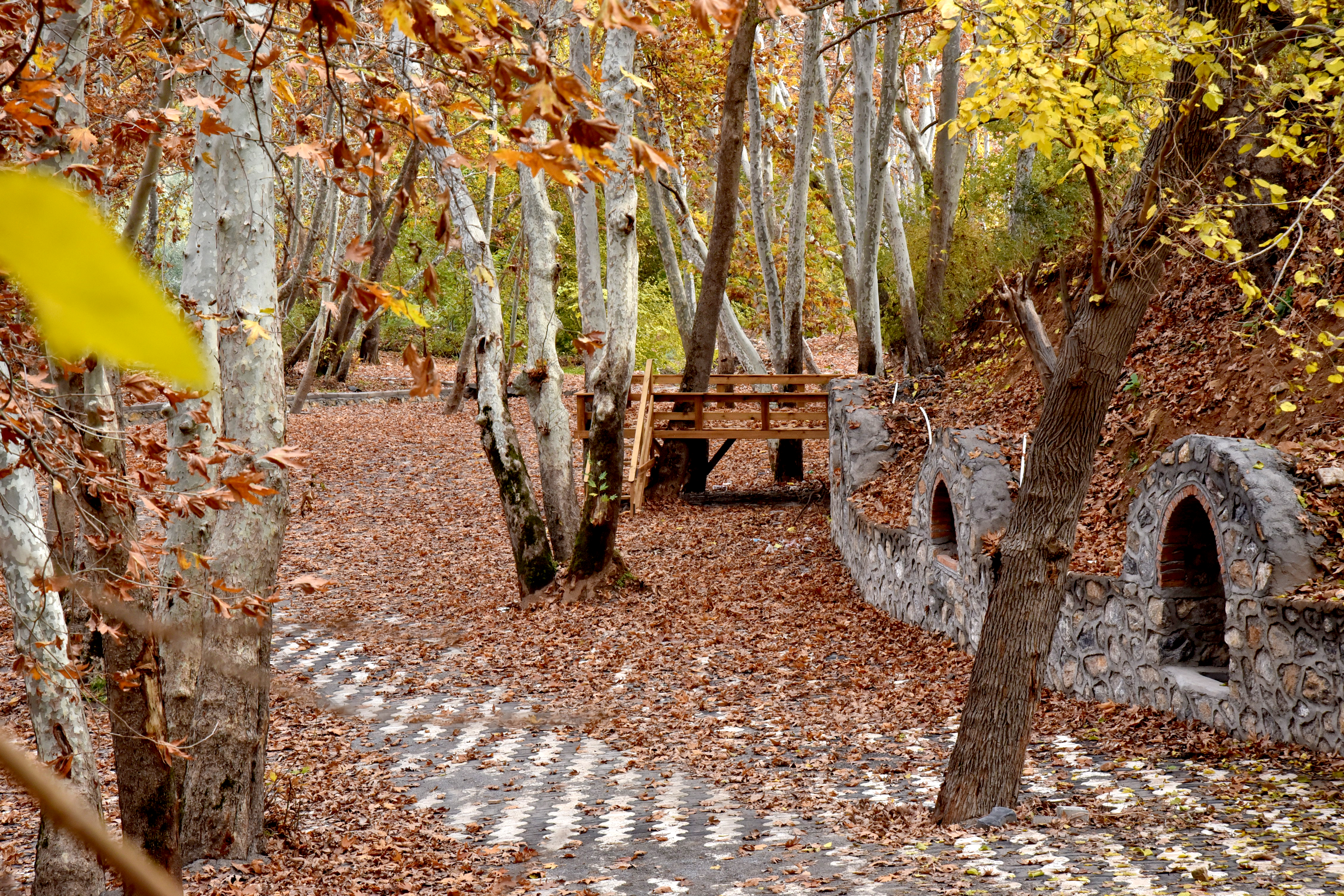 Parklarımız